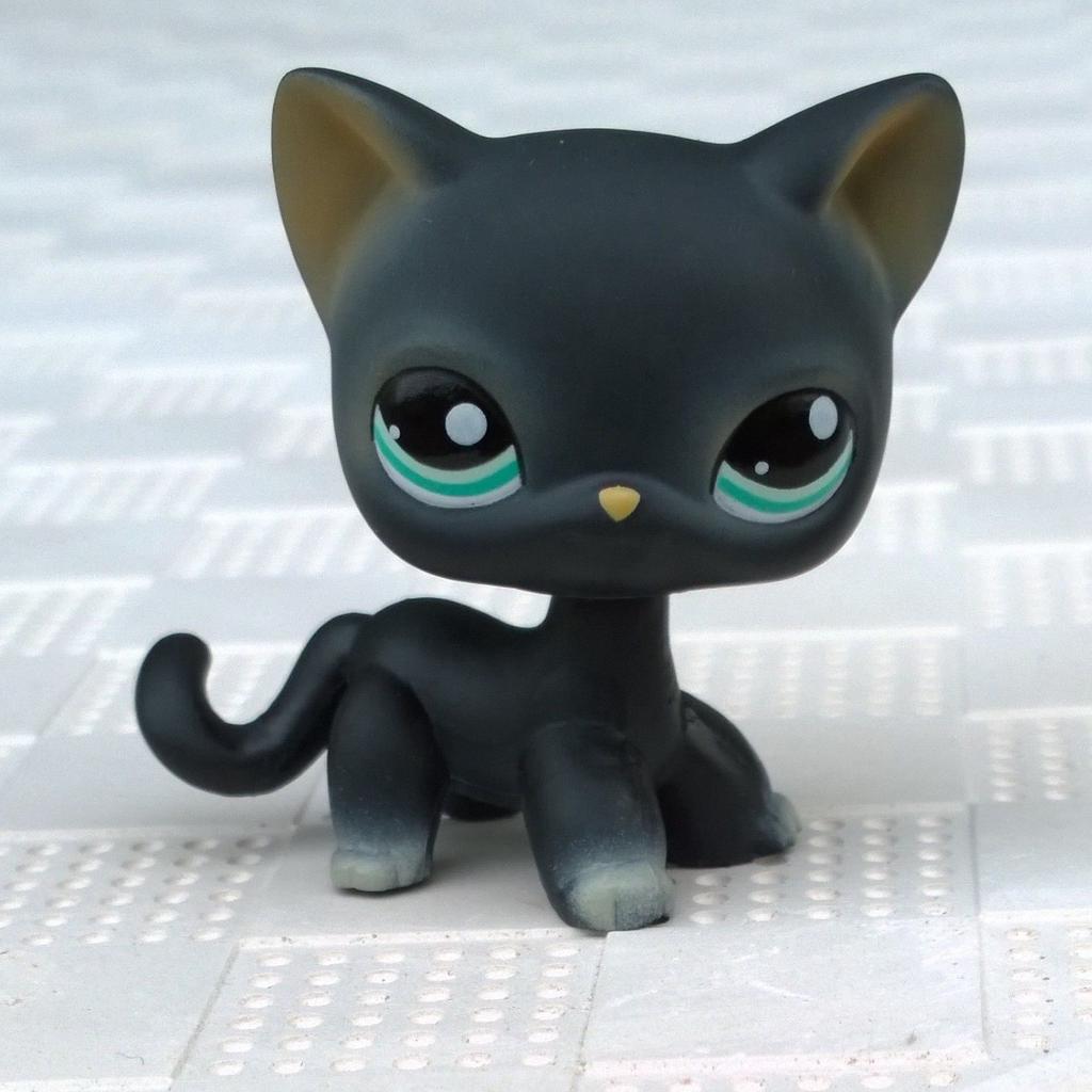 lps cat black