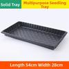 2pcs 54*28cm Seeding Nursery Tray with Holes Succulent Germination Tray Seed Starting Flower Plant Hydroponic Vegetable Tray