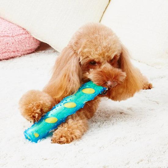 Petio Dog Toy Health Program Shaka Shaka Stick