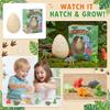 Dinosaur Egg Soaking In Water Expands - A Toy For Boys And Girls; Water-soaked And Hatching Dinosaur Egg (random).