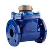 Dry-Type Detachable Flange Cold Water Meter