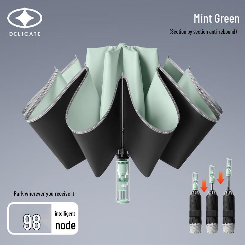 Zouyou Automatic 10-Rib Folding Umbrella