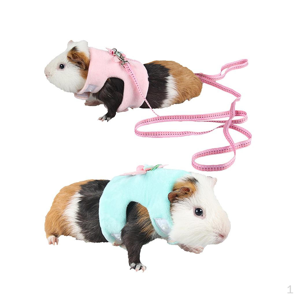 And Leash Set Dwarf Hamster Gerbil Rat Mouse 2 Pack