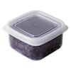 Refrigerator Storage Box, Frozen Meat, Compartment Small Box, Frozen Preservation Box, Microwave Safe, Food Mixed Grains and Rice, Packaging Box