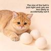 Cat Prey Ball, Silent Wool Ball Toy, Cat Chase, Self-entertainment and Boredom Relief Tool, Cat Teaser, Durable Silent Ball