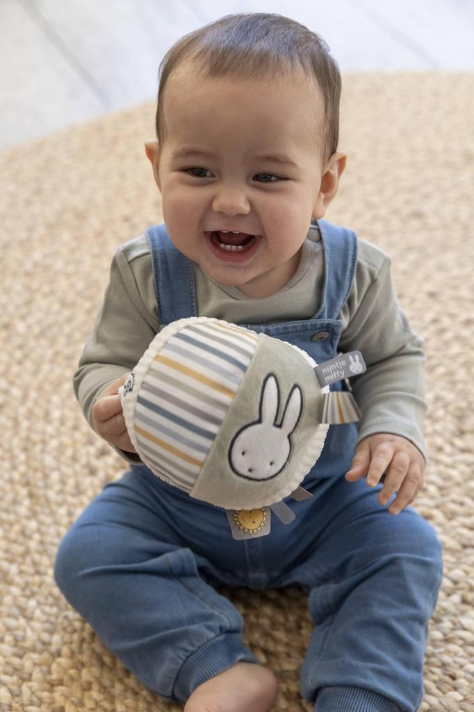 DADWAY Miffy Baby Ball, Blue, W10 X D10 X H10cm