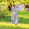 1/3pcs Easter Rabbit Yard Signs Spring Yard Stake Decorative Garden Stakes for Indoor Outdoor Courtyard Lawn Decoration