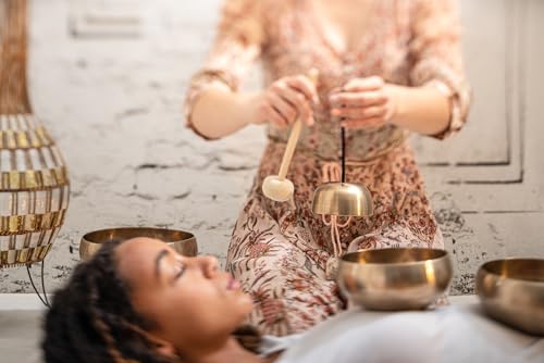 MEINL Sonic Energy Collection Singing Bowl Mallet SB-M-LT-S [Official Japanese Product]