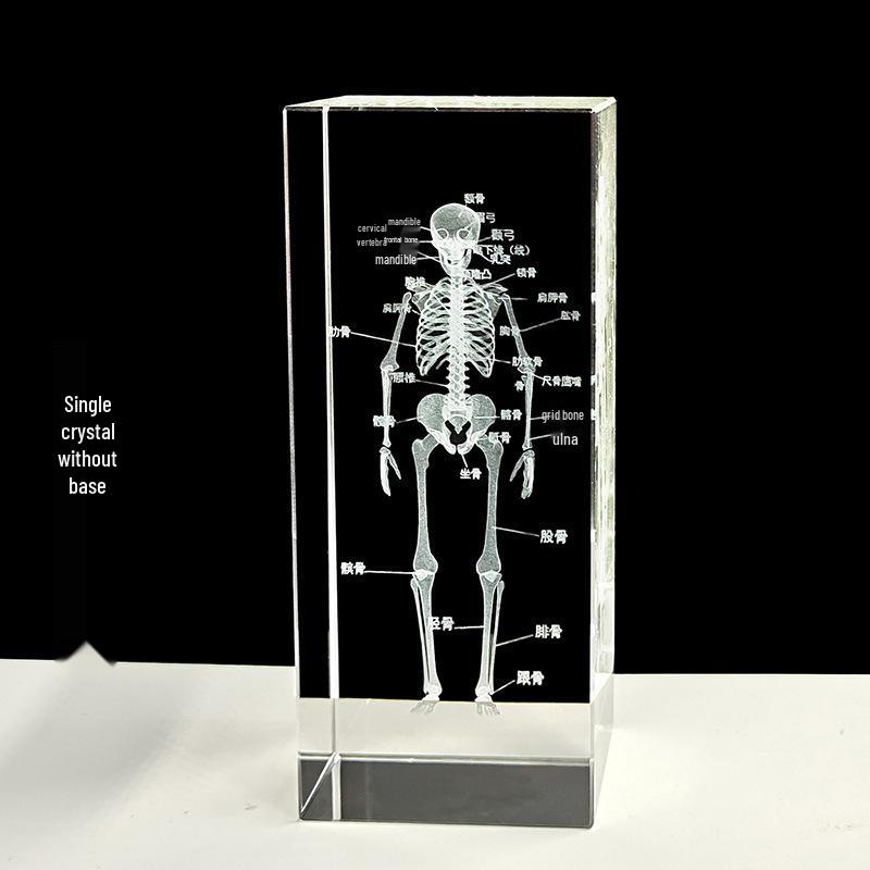 3D Carved Skeleton Brain Model Ornament - White Crystal Souvenir for Medical Students and Doctors