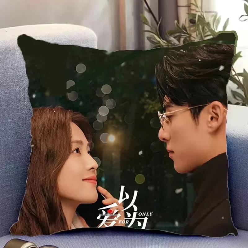 Dylan Wang Hedi Bai Lu HD Poster Double-sided Printed Pillowcase TV Only for Love Drama Stills Home Car Decor Cushion Cover