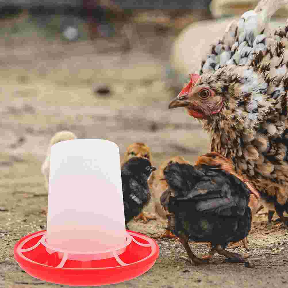 Chicky Dove Food Poultry Feeding Trough Automatic Feeder for Chicken Dish Quail Hanging Kit Dispenser Groove Bowl Baby