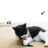 Interactive Cat Birds Toy for Indoor Cute Cat Toy with Realistic Bird Sounds Toy