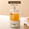 Yuzhuxun Smart Electric Stew & Tea Pot