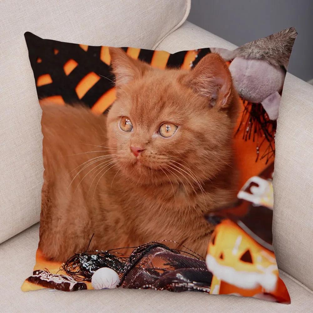 Federa per cuscino decorativo Blu British Shorthair con stampa in peluche corto per decorazione divano soggiorno Federe per cuscini
