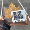 Minimalist U-Shape Photo Frame Stand Wood Acrylic Creative DIY Tabletop Display for Pictures Love Notes, Postcards, Certificates