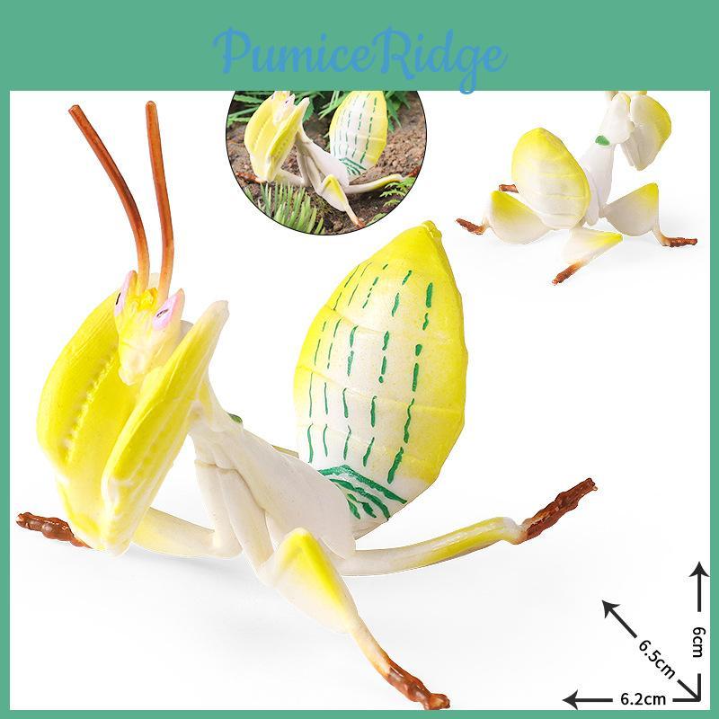 Plastik-Schmetterlingsmodell für Bildungsdekoration und Sammlung