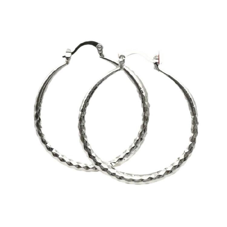 

Fashionable Hoop Earrings Sturdy Alloy Materials For Modern Wardrobes 1