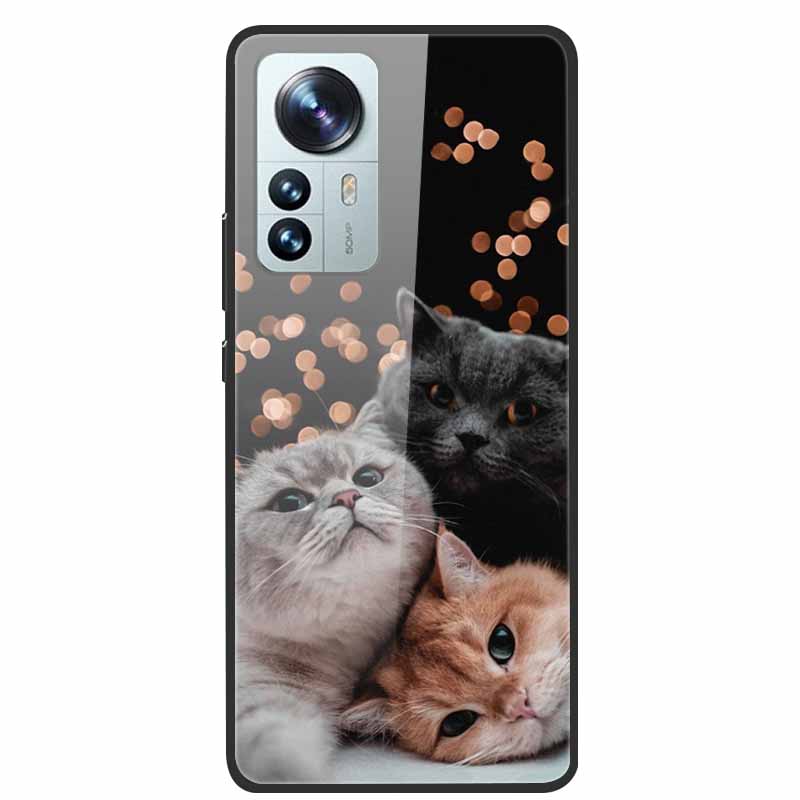 For Redmi Note 12S Case Tempered Glass Hard Back Cover for Xiaomi Redmi Note 12 Note12 Pro 4G 5G Phone Cases Note12S 12 S 12Pro