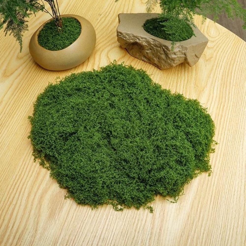 100G Artificial Moss Mini Landscape Green Moss Miniature Scene Moss Terrarium DIY Craft Preserved Plant Moss Garden Decor