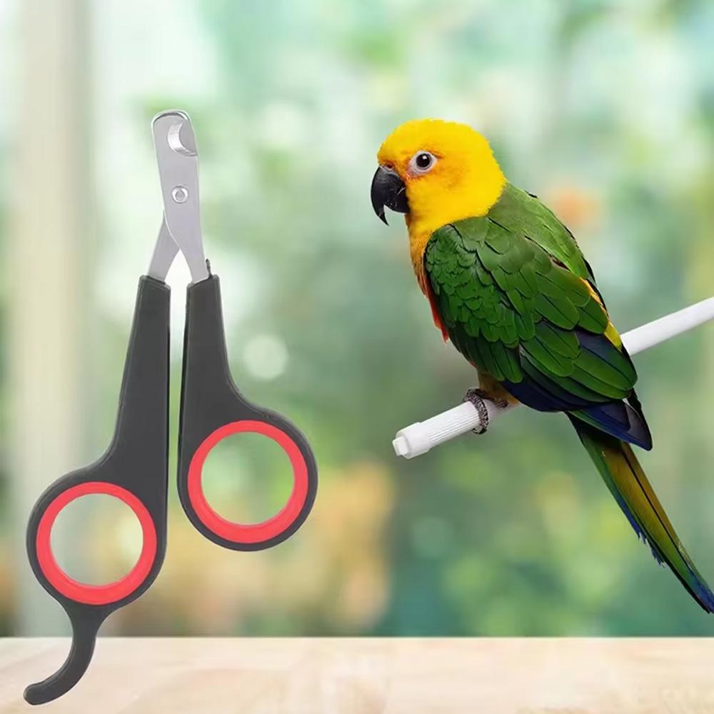 Professional Pet Nail Scissors for Small Dogs Cat Nail Clippers Toe Claw Trimmer Grooming Supplies Paw Cutter Bird Parrot Shear