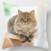 Cute Kitty Series Decorative Pillowcase Office Decoration Living Room Bedroom Children's Room Home Decoration Pillowcase