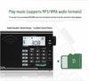 PANDA 6208 Portable Lithium Battery FM Radio with Card Slot for the Elderly