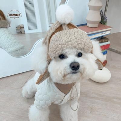 Korean Style Warm Cat Flying Hat Windproof with Ear Hole Fluffy Dog Hat Lamb Fur Winter Dog Hat Photograph