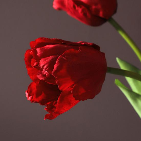 Flores de Tulipán Artificiales Tacto Real Tulipán de Tallo Largo Ramo con Hojas para Ramo de Boda Arreglo Floral de Primavera Decoración de Mesa para el Hogar