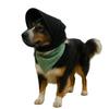 Breathable Mesh Dog Protective Mask Protective Veil Polyester Dog Headgear Ear Shield Pet Head Cover Mosquito Bite Prevention