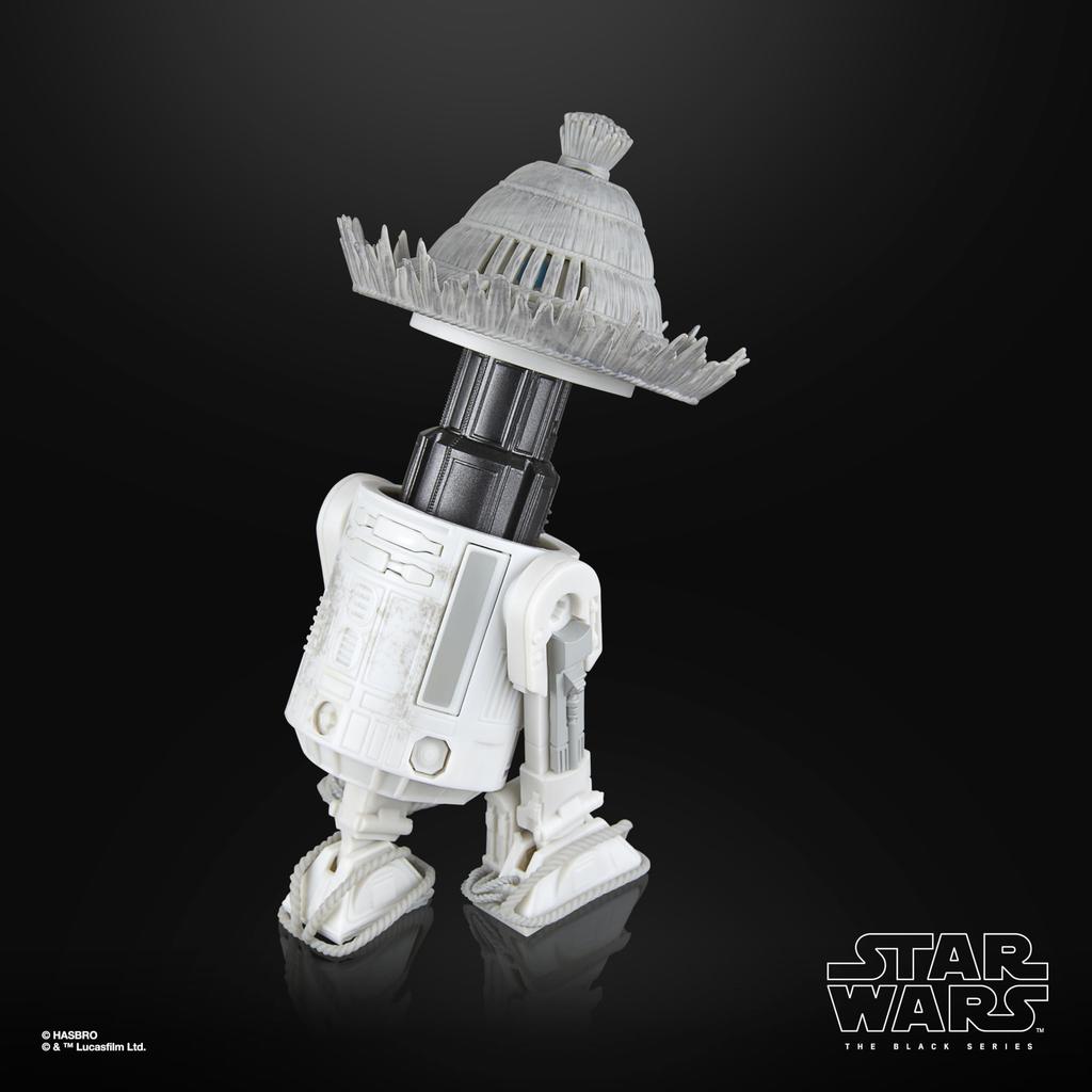 Hasbro Star Wars STAR WARS Black Series Ronin & R5-D56, Star Wars: Visions Kolekcja Premium 15 cm Figurka Akcji 2-pak G1320 Autentyczny