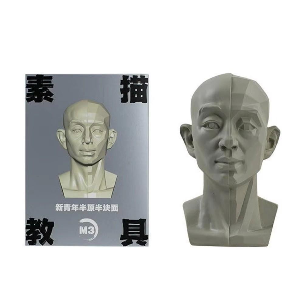 Still Life Ornament Planar Head Model Resin Skecthing Painting Sculpture  for Art Beginner