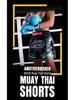 2025 Multi-Color Boxing & Muay Thai Shorts, European Fit, Competition & Training, Multi-Style