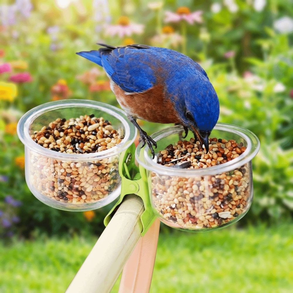 Bird Perch Stand Transparent Bird Cage Feeder With Clip Non-slip Parrot Food Bowl Plastic Wear-resistant Feeder Cup Parrot