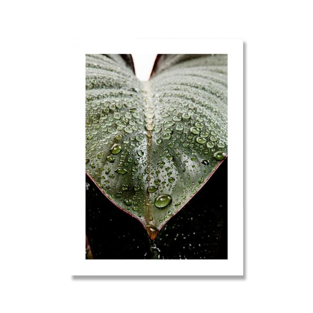 Green Leaf Plant Canvas Painting Botanical Nordic Wall Art Poster and Print Scandinavian Decoration Picture Artwork Home Decor No Frame