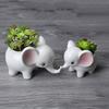 Creative  Ceramic Mini  Cute  White Baby Elephant Succulent Flower Pot Home Table Decro Oranment Craft