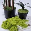 Bionic Fake Moss Turf for Landscaping & Ornamental Potted Plants - Lawn, Bonsai, Micro Landscape & Paving Decor