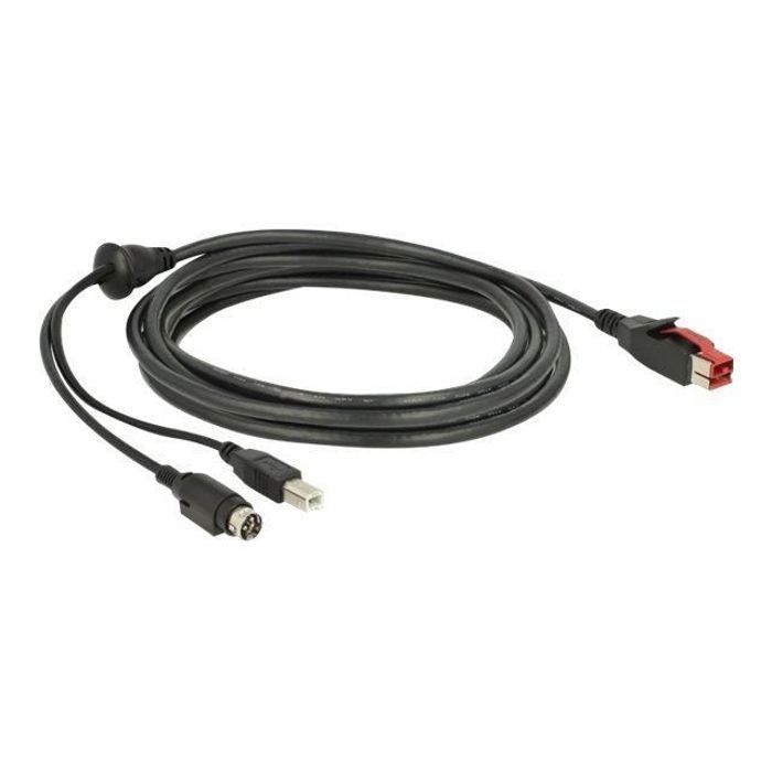 DeLOCK Câble D'alimentation USB USB PlusPower (24 V) (M) Pour USB Type B, Alimentation mini-DIN (M) 24 V 3 M Noir