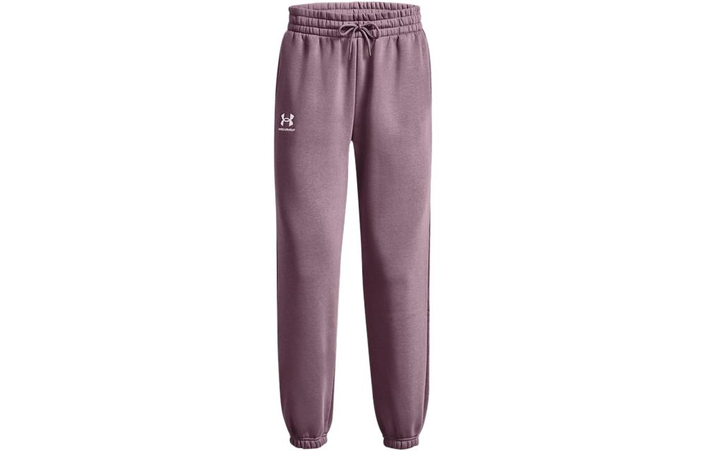 Женские трикотажные спортивные штаны Under Armour Пыльно-фиолетовые 1373034-500 XL