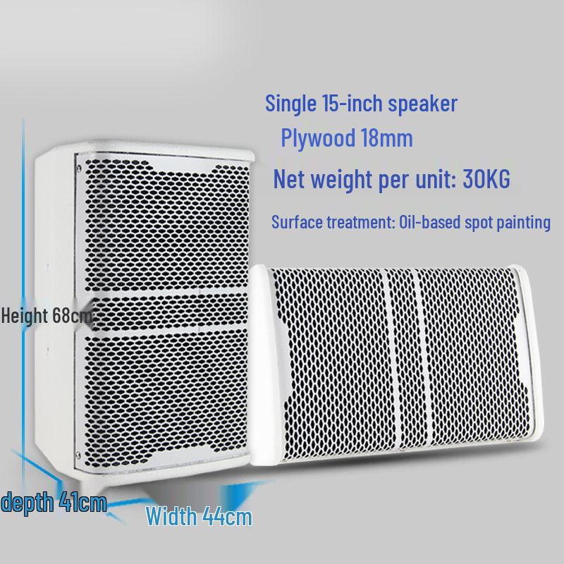 Ying Xian Dan Professional Wall-Mounted Speaker for Conference Rooms, KTV, Dance, School, or Hotel (8/10/12/15 Inch).