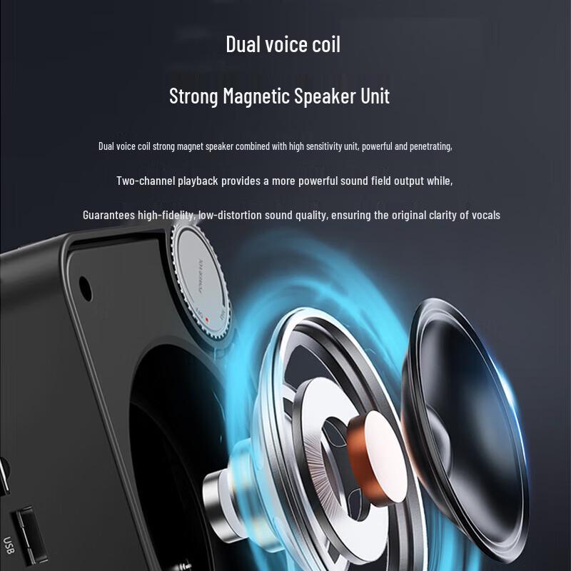 TAKSTAR E500W Wireless Voice Amplifier