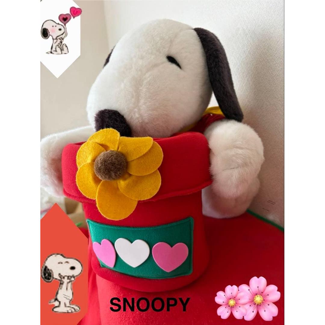 SNOOPY Stuffed toy pot-shaped accessory case