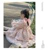 Kids Girls Long Sleeve Lolita Princess Puffy Casual Children Dress
