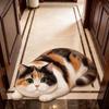 Non-Slip Home Decor Carpet Anti-fouling Cartoon Carpet Soft Cat-Shaped Area Rug  Bedrooms