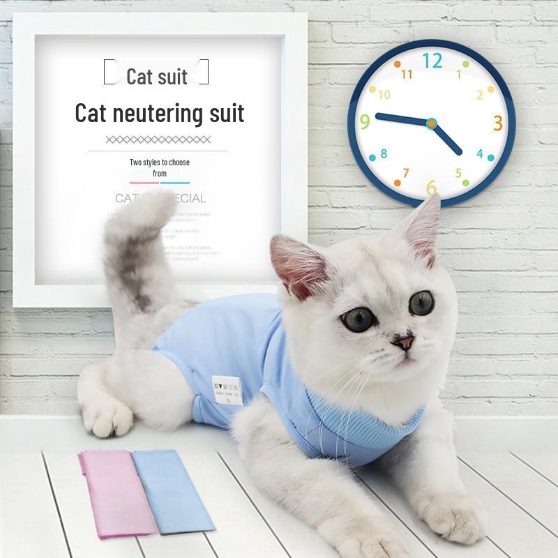 Autumn Cat Post-Surgery Anti-Lick Suit: Anti-Infection, Anti-Bacterial, High Elasticity, Comfortable Pet Wear