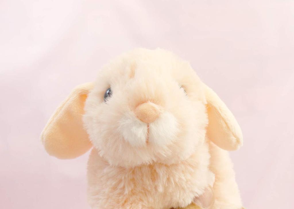 Takeoff Rabbit Marron Lop-eared Pink