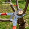 Electric Pruning Shears CN plug (adapter included)