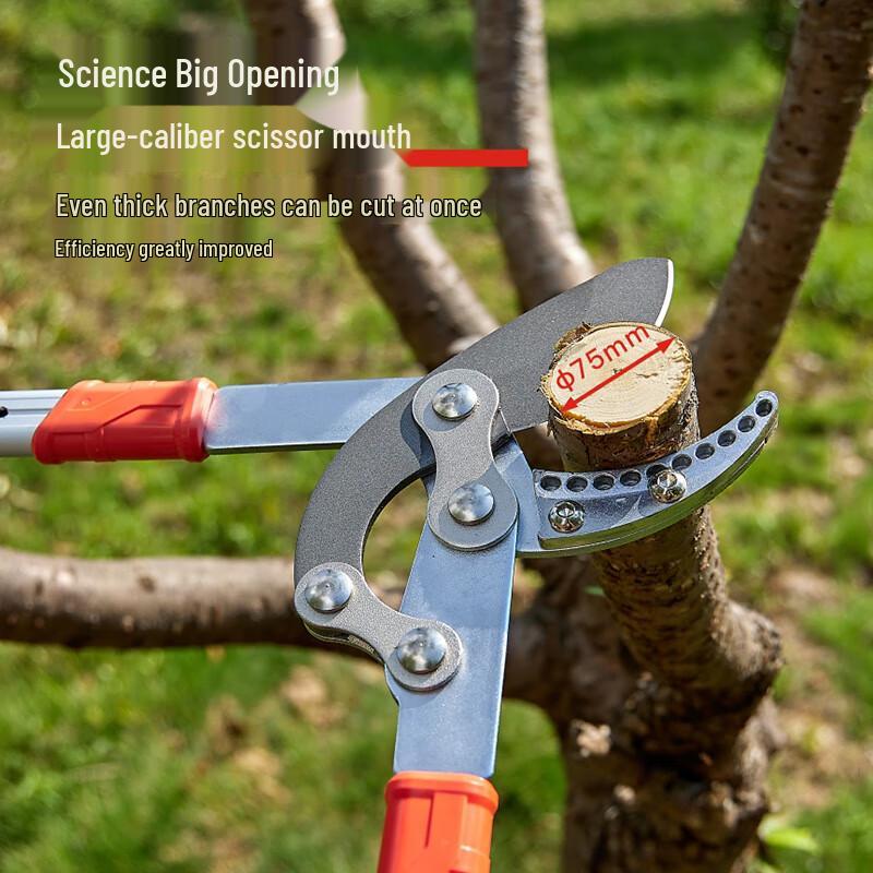 Electric Pruning Shears CN plug (adapter included)