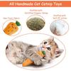 Catnip Toys, Cat Toys, Catnip Toys For Cats, Cat Toys With Catnip, Cat Toys For Indoor Cats, Interactive Cat Toy, Cat Chew Toy, Cat Pillow Toys