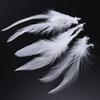 800-1000 PCS/Lot White Rooster Feathers Trim 4-8" Chicken Feather Strip Natural Feather Plumes Jewelry Costume Hat Party Decor