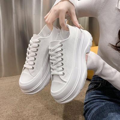 Canvas Shoes Women's 2024 Spring and Autumn New Heightening Little White Shoes Muffin Platform Casual Dad Shoes Breathable Single Shoes